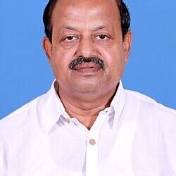 BJD raises concern over rising human-elephant conflict in Odisha