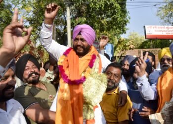 Punjab: AAP win in 102 civic bodies