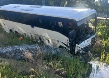 Five Killed, dozens injured in Virginia bus crash; US Transport Secretary slams driver licensing issues