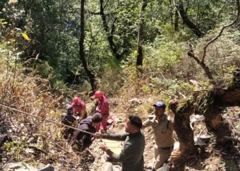 Three of a family killed as vehicle plunges into deep gorge in Uttarakhand’s Chamoli