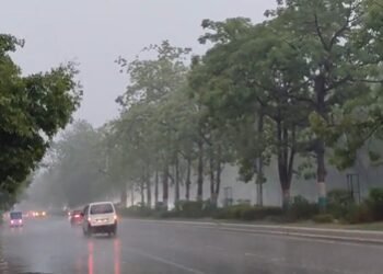 Delhi-NCR gets rain relief, pleasant spell likely till June 4