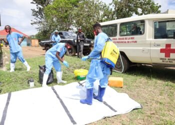 WHO chief appeals against travel bans as Ebola cases surge in DRC, Uganda