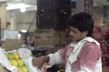 PM Modi praises farmers for taking India’s rich mango heritage to global markets