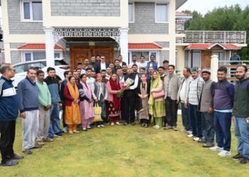 Himachal Municipal poll results: BJP wins Mandi, Dharamsala, Solan; Cong gets only Palampur