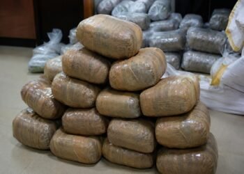Two arrested after DRI recovers over 100 kg ganja in Bihar