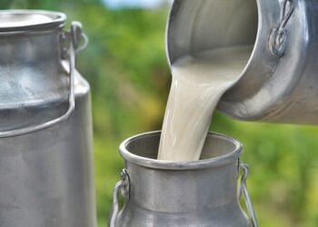 Gujarat adds 12.5 million tonnes to milk output in two decades