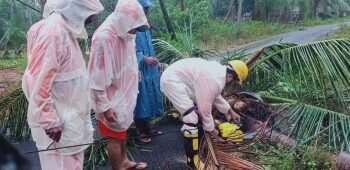 Four killed as rain, strong winds wreak havoc in Andhra