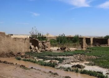 Around 2,000 families affected by floods in Afghanistan’s Nangarhar: IOM