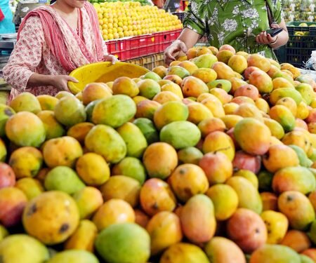 Tripura: Exotic mango under trial for self-reliance