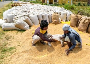 Haryana to add 20 lakh MT grain storage