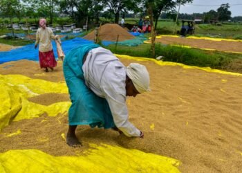 Farm loan waiver: Maha eyes 2.8 pc fiscal cap despite welfare sops