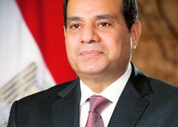 Egypt works to help facilitate deal between US, Iran: President