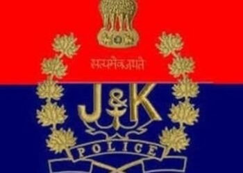 J&K Crime Branch files chargesheet in land fraud case in Srinagar, names three