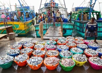 India’s seafood exports hit record Rs 73,890 crore