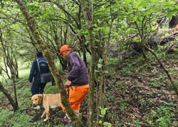 Army, ITBP to step in as search intensifies for missing woman trekker in Uttarakhand’s Dayara Bugyal