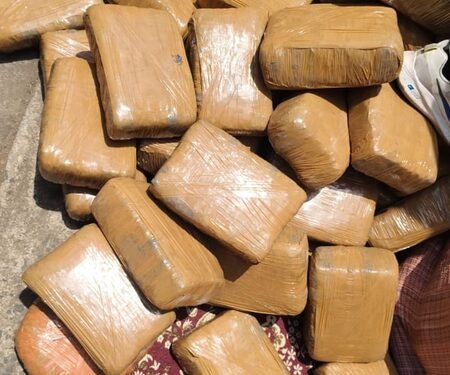 DRI seizes 522 kg cannabis worth Rs 2.61 crore in Nagpur; two arrested