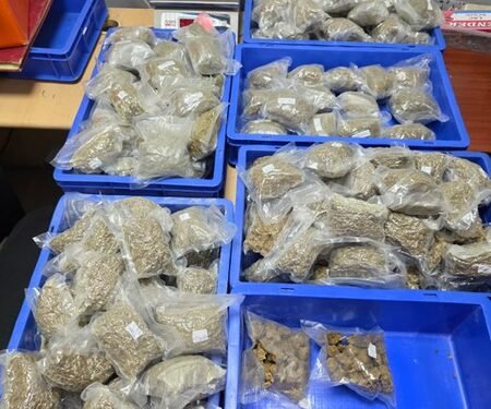 Delhi Customs seizes hydroponic weed worth Rs 5.38 Crore at IGI Airport, two arrested