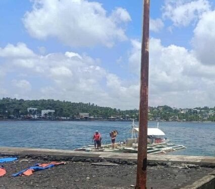Tsunami waves observed in Japan after powerful quake off Philippines