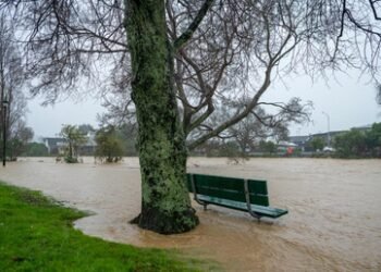 Massive swells, gales batter New Zealand capital