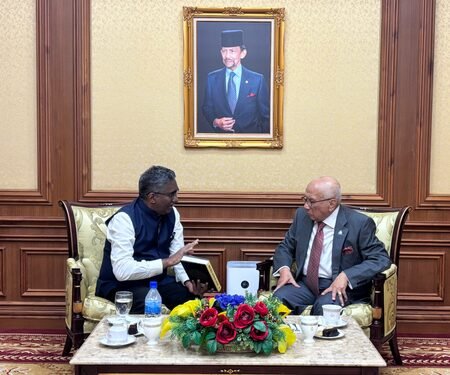 India and Brunei discuss strengthening of ties, parliamentary engagements