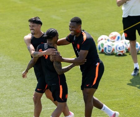 FIFA WC: When and where to watch Netherlands vs Japan, know all details