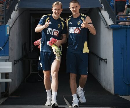 FIFA WC 2026: When and where to watch Sweden vs Tunisia; know all details