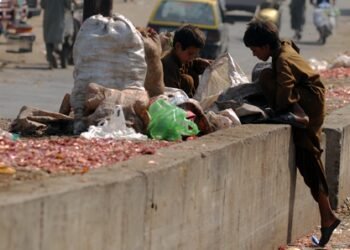Every fourth household in Pakistan’s Islamabad has child as domestic worker: Report