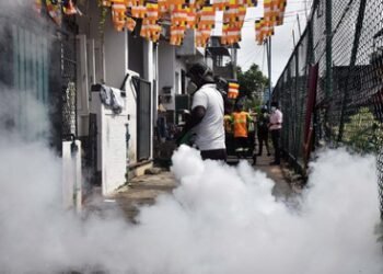 New dengue strain raises infection risk as Sri Lanka launches prevention week