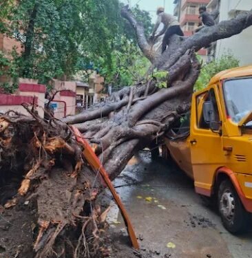 1 dead, 10 injured as tree collapses on school bus in Mumbai’s Chembur