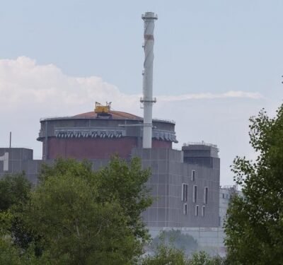 Zaporizhzhia nuclear plant begins repairs with localised ceasefire brokered by IAEA