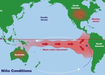 WMO says El Nino increases risk of extreme weather