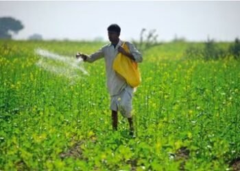 ICAR signs MoU with Agriculture Department of Seychelles to strengthen agri-research cooperation