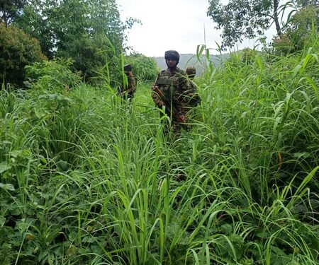 Two Assam Rifles personnel killed in suspected Naga armed group ambush in Manipur (Lead)
