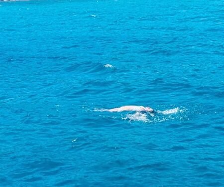 Kareena Kapoor swims in the middle of the Aegean Sea during her Greece vacation