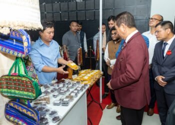 Traditional attire, crafts preserved NE’s history before written records: Mizoram CM