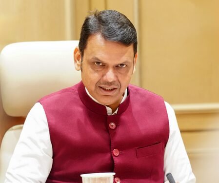 Grooming Dalal Street’s debut: The Rs 48,000-crore bailout to clean Mahavitaran’s books