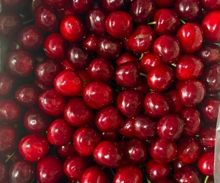 Export of Kashmir’s premium cherries, plums to Singapore to boost farmers’ income: Piyush Goyal