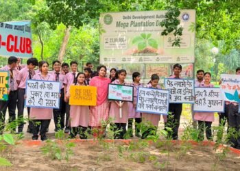 DDA plants 6.62 lakh saplings out of targeted 23 lakh this season