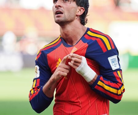 Torres says fate favoured Spain in World Cup final
