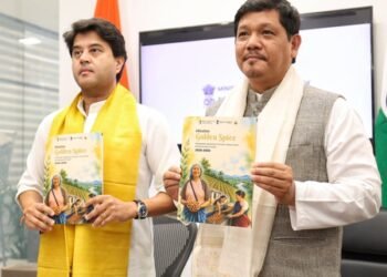 Meghalaya: Centre launches mission to brand Lakadong turmeric globally