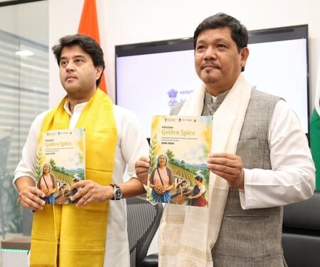 Meghalaya: Centre launches mission to brand Lakadong turmeric globally