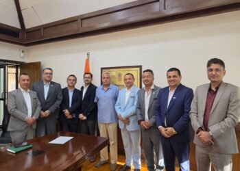 Nepal’s private hydropower developers back deeper power trade with India