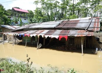Assam flood: More than 7.2 lakh affected in 25 districts; CM visits relief camps