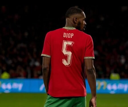 Ipswich Town sign Morocco defender Issa Diop from Fulham