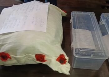 NCB crackdown forces Myanmar drug cartels into forests and river routes