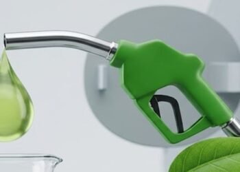No decision yet to raise ethanol blending in petrol beyond 20 per cent: Govt