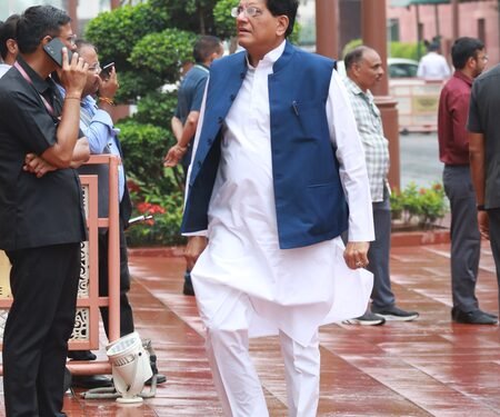 Piyush Goyal announces task force to support toy sector