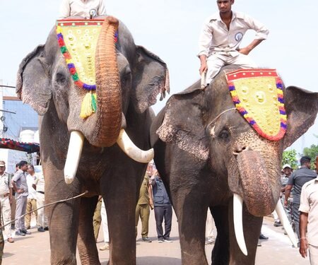 Two Kumki tuskers to help control human-elephant conflict: Pawan Kalyan