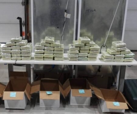 Huge smuggling racket busted in Canada, leads to mammoth seizure of 1.7 tonnes illegal drugs (Ld)