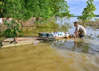 Assam flood: Unprecedented rainfall caused widespread devastation, says CM Sarma